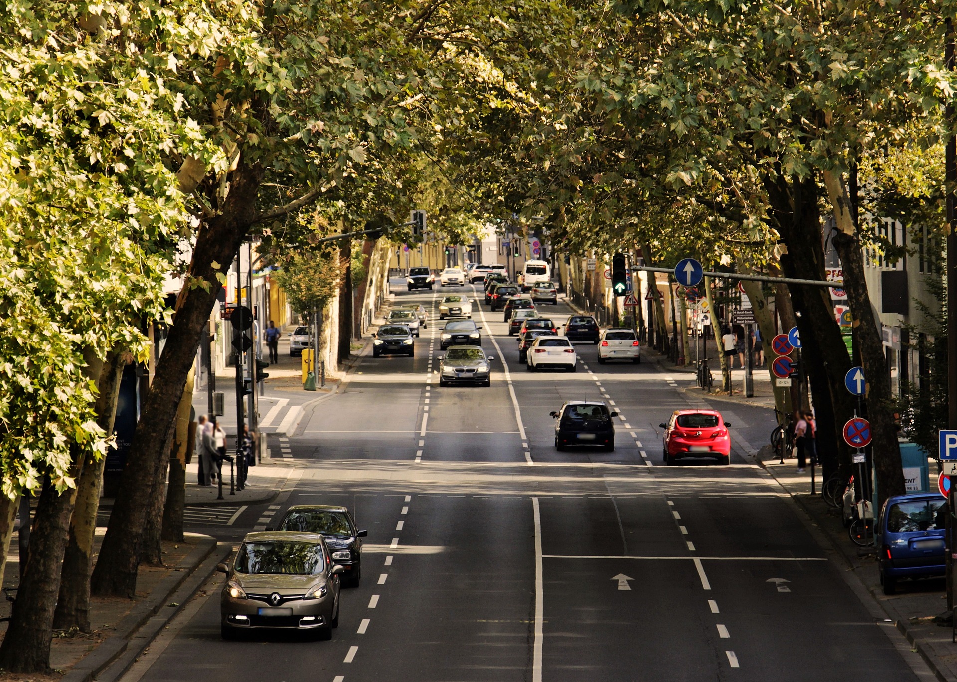 Cars driving on a tree-lined street